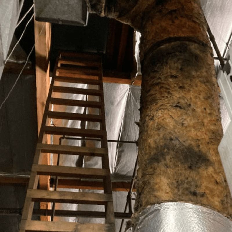 Attic ductwork with heavy microbial growth across the insulation jacket, sampled during a mold investigation.