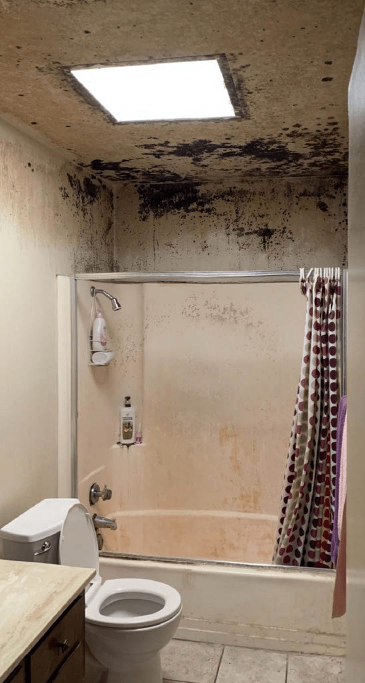 Heavy black mold growth across a bathroom ceiling and walls documented during a mold inspection in Thousand Oaks.
