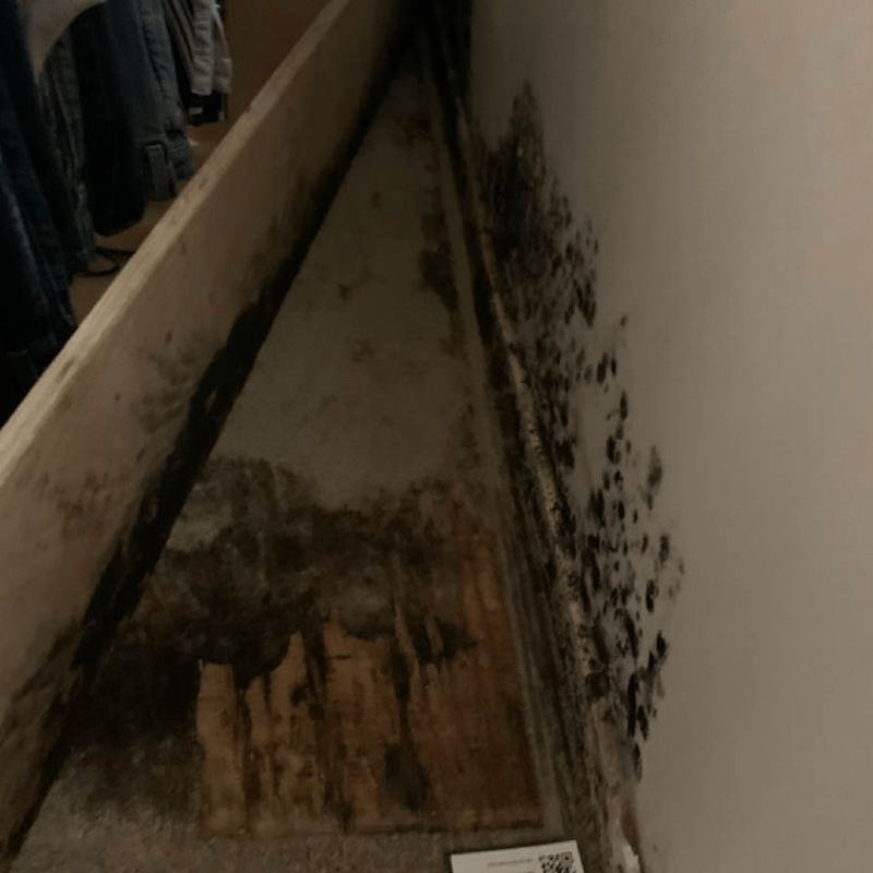 Mold growth revealed behind a removed baseboard in a closet, documented with a sample label in place.