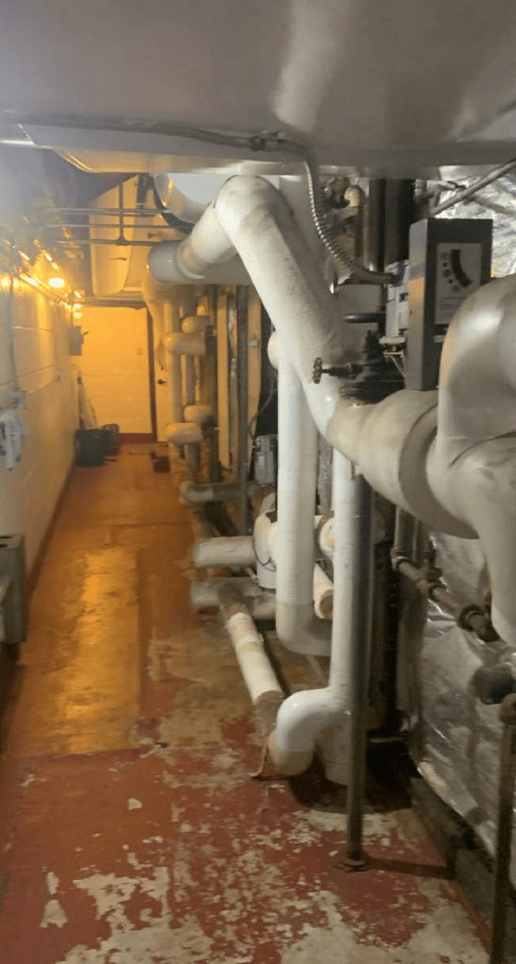 White canvas-jacketed thermal system insulation on overhead piping in a building mechanical room, a common location for asbestos-containing insulation.